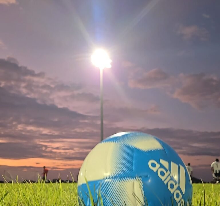 Soccer Field image 2