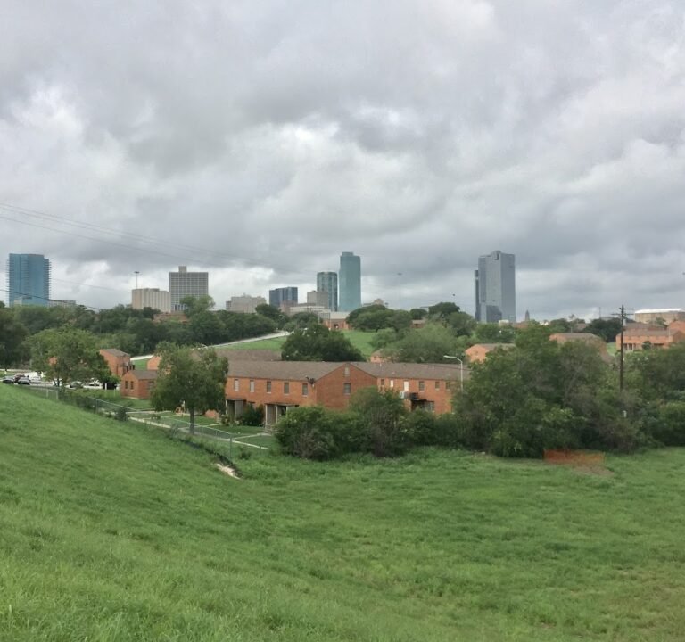 Soccer Field image 2
