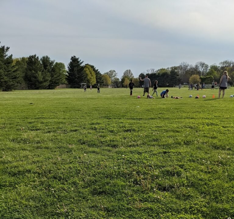 Soccer Field image 2
