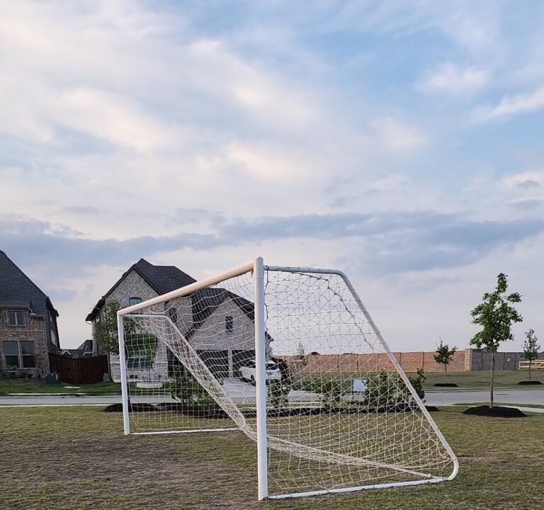 Soccer Field image 3