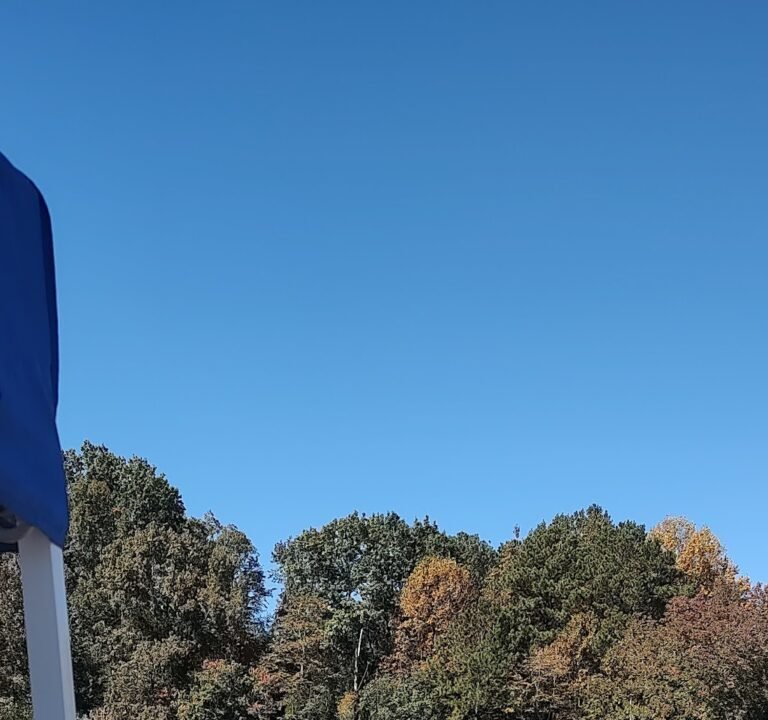 Soccer Field image 2