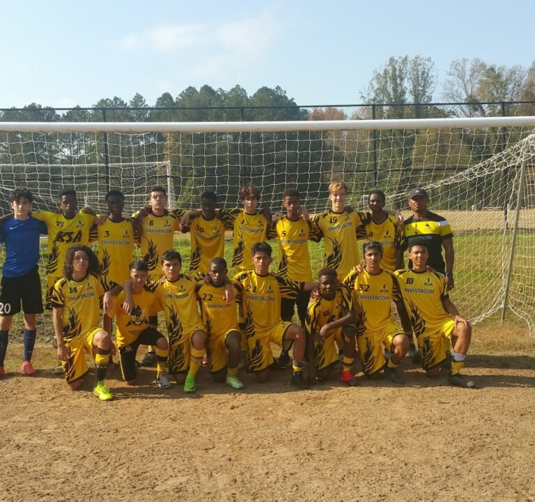 Soccer Field image 3