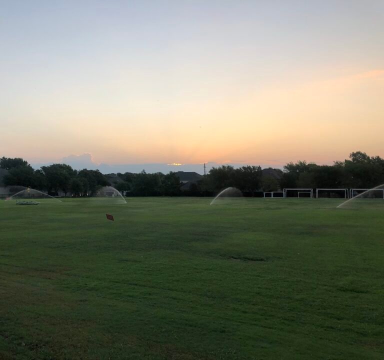 Soccer Field image 3