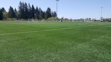 Soccer Field image 1
