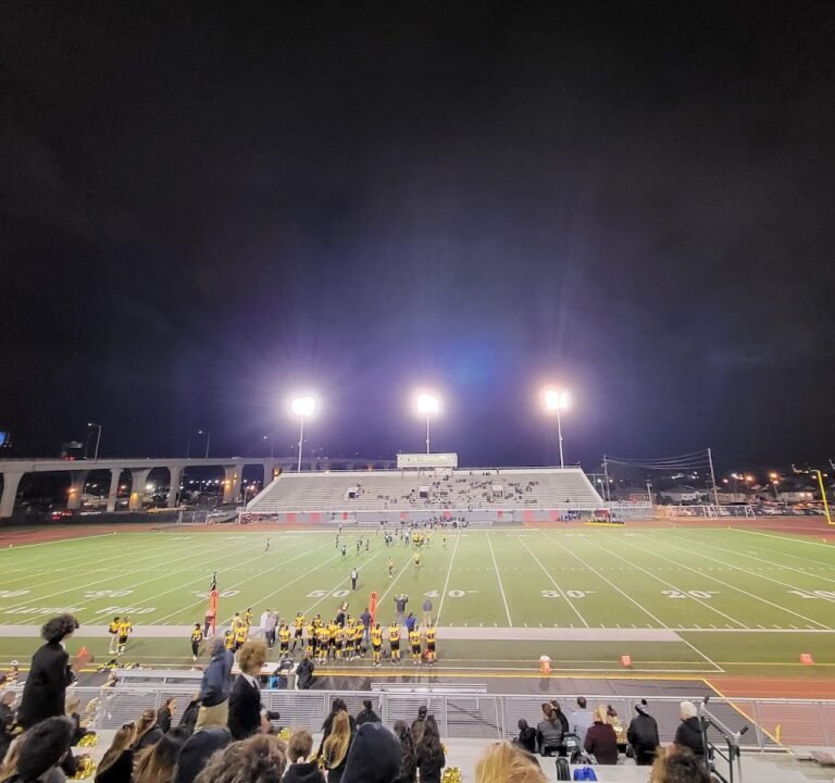 Soccer Field image 2