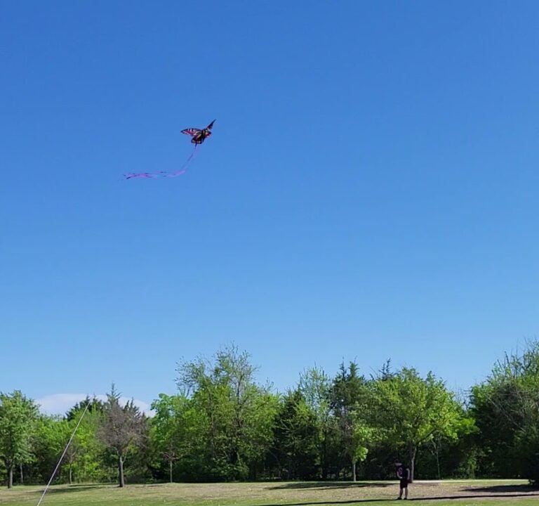 Soccer Field image 2
