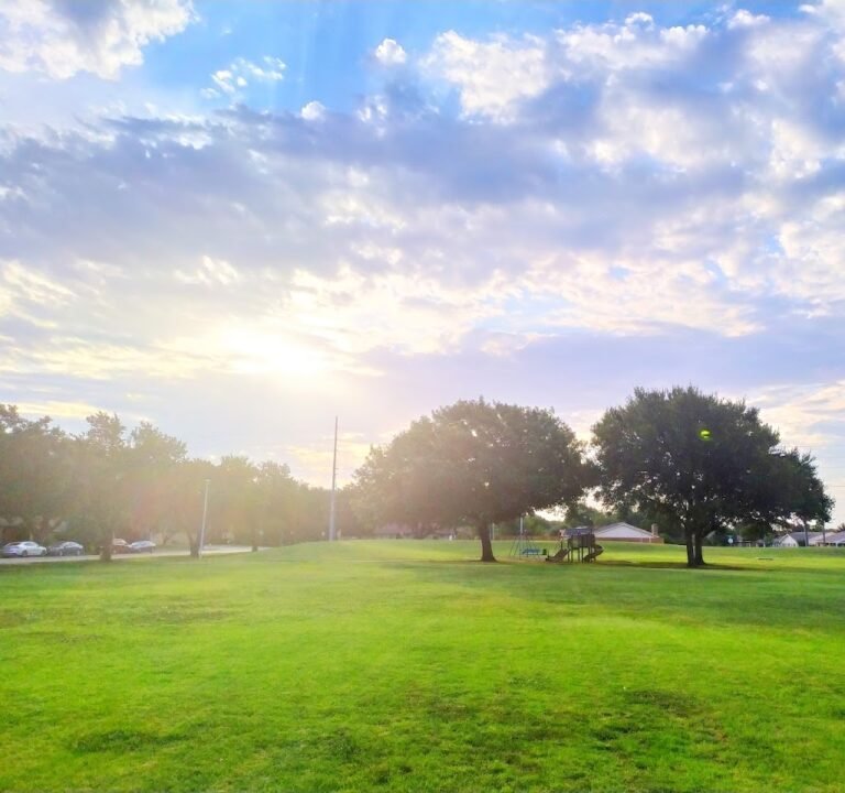Soccer Field image 2
