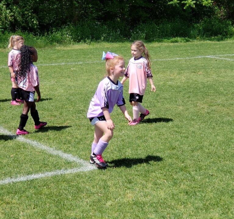 Soccer Field image 2