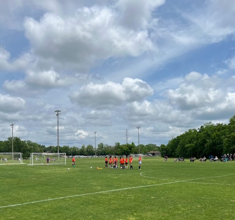 Soccer Field image 3