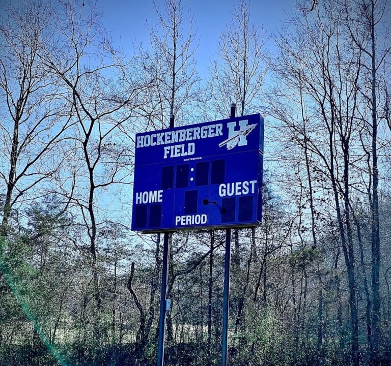 Soccer Field image 2