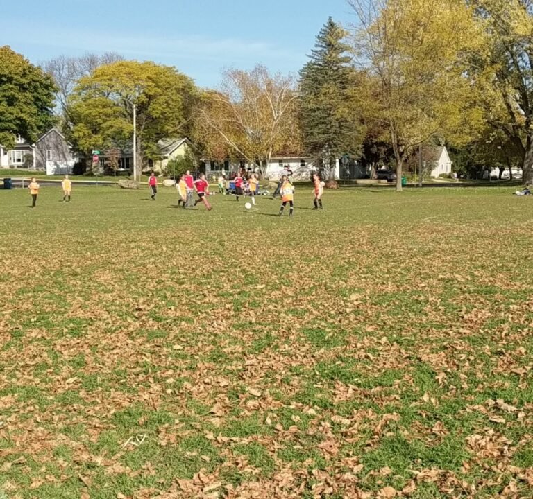 Soccer Field image 4