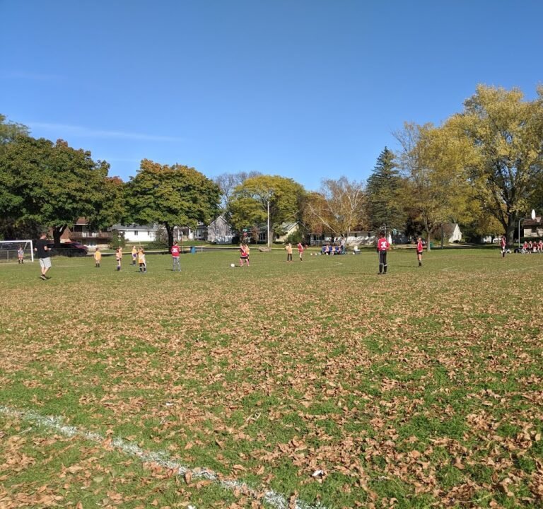 Soccer Field image 2