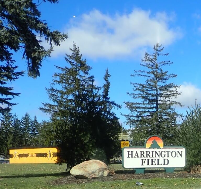 Soccer Field image 2