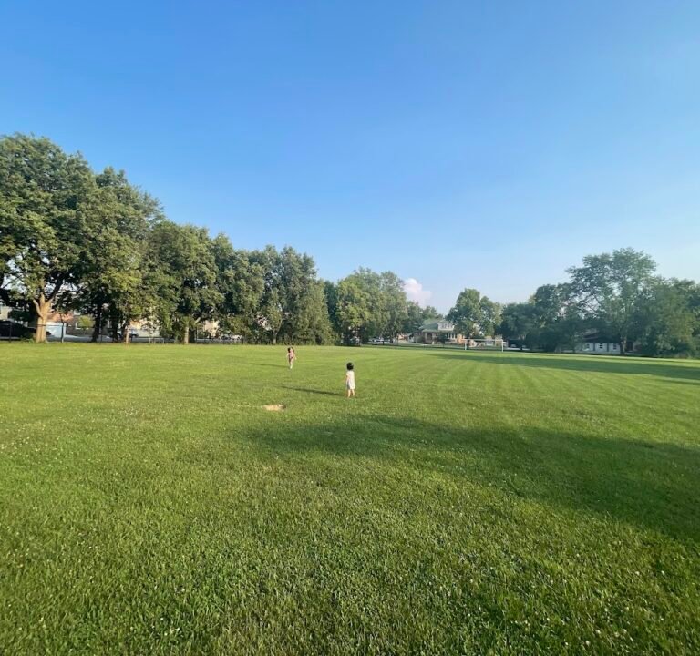 Soccer Field image 2