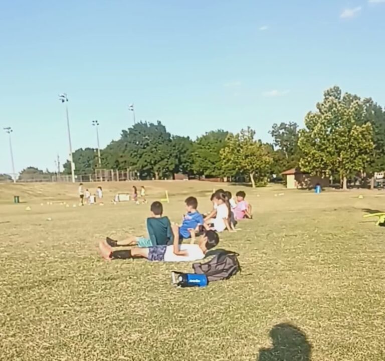 Soccer Field image 4