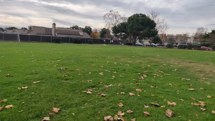 Soccer Field image 1