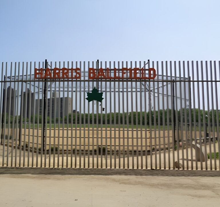 Soccer Field image 2