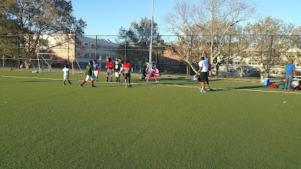 Soccer Field image 1