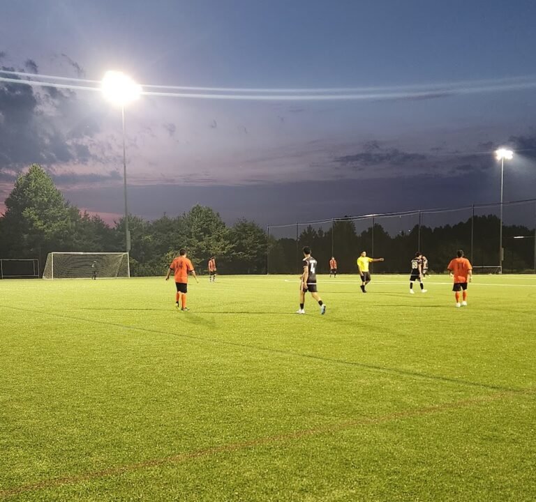 Soccer Field image 2