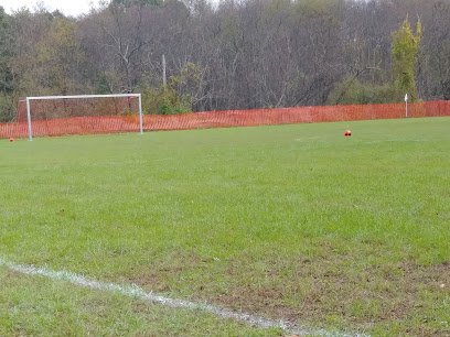 Soccer Field image 1