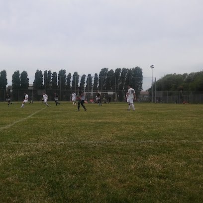 Soccer Field image 1