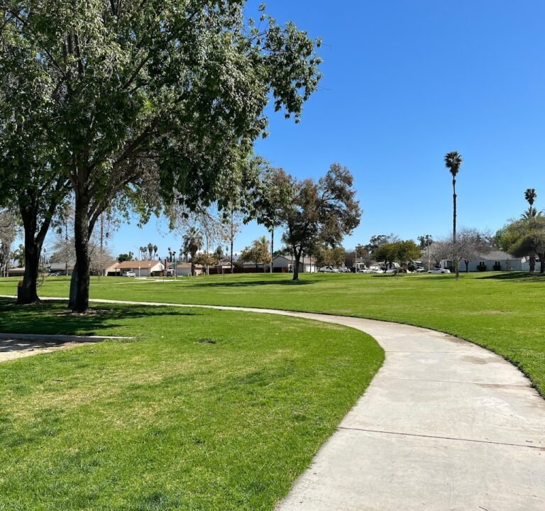 Soccer Field image 2