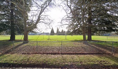 Soccer Field image 1