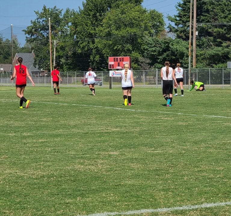 Soccer Field image 3