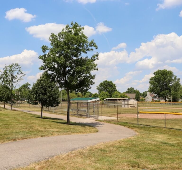 Soccer Field image 3