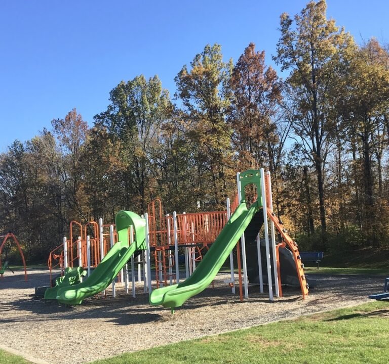 Soccer Field image 2