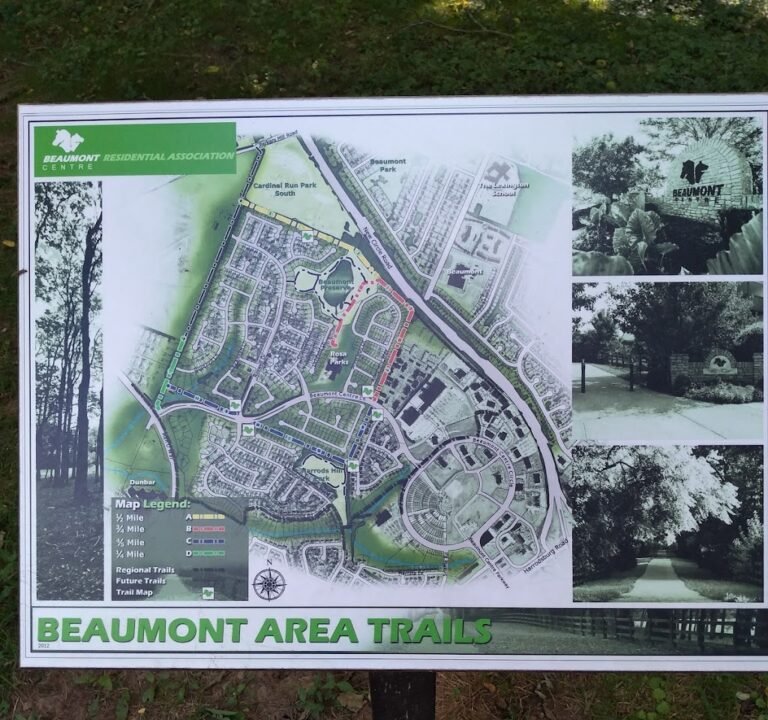 Soccer Field image 3