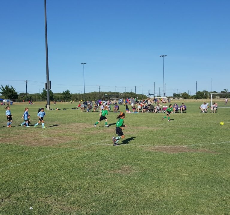 Soccer Field image 2