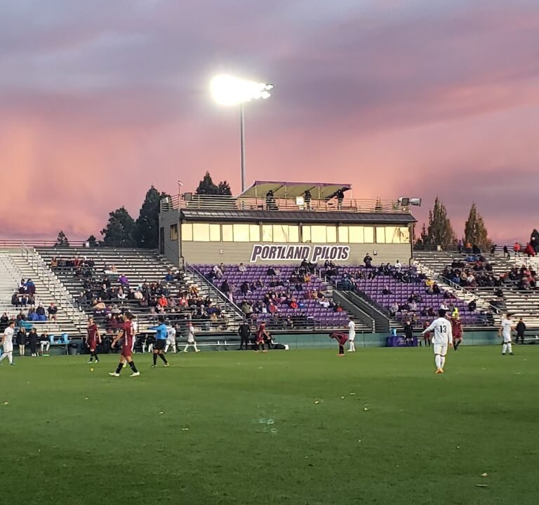 Soccer Field image 2