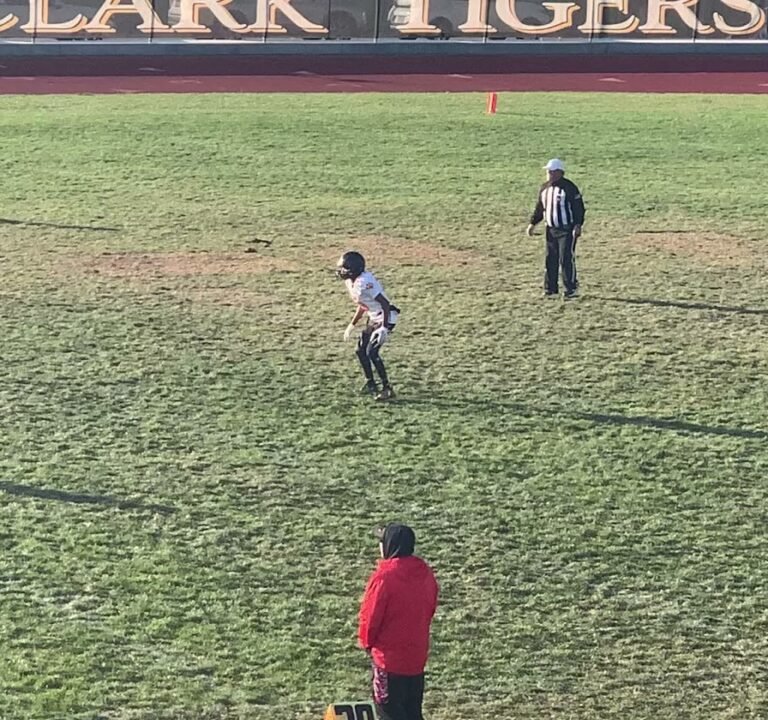 Soccer Field image 3