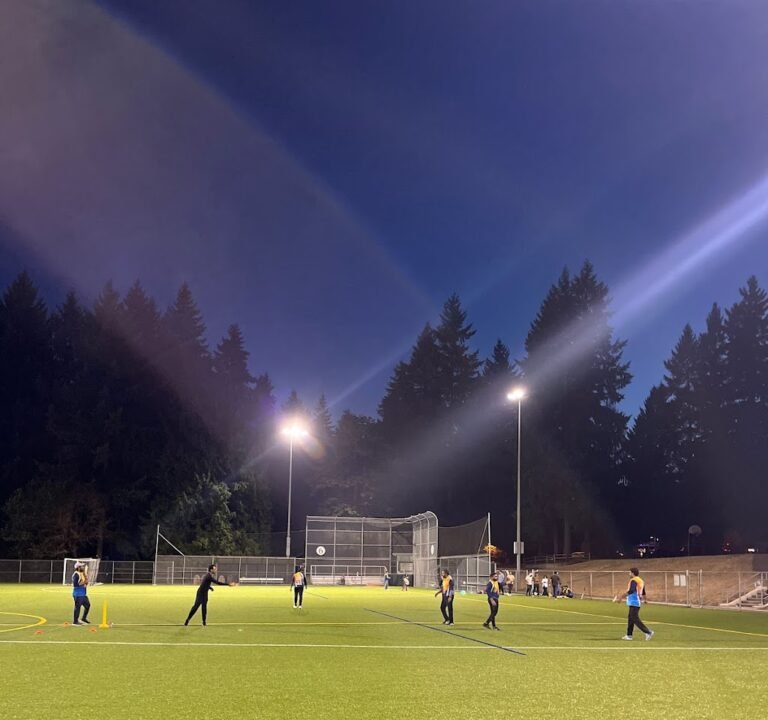 Soccer Field image 2