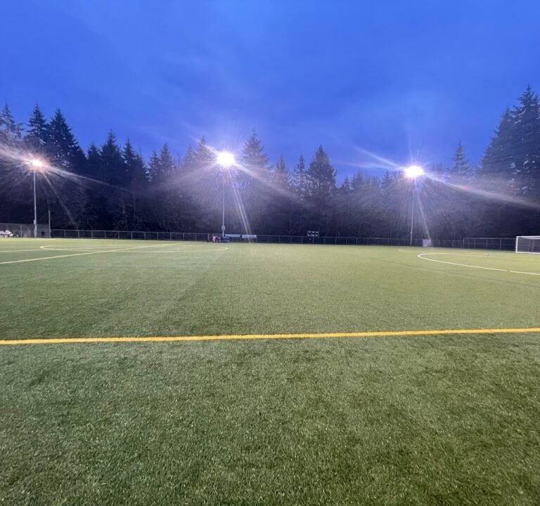 Soccer Field image 3