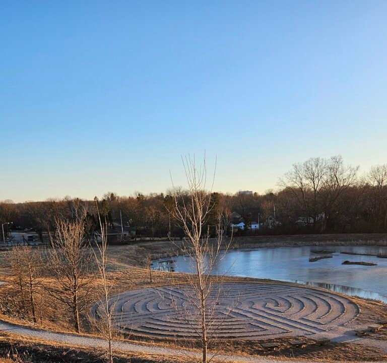 Soccer Field image 3