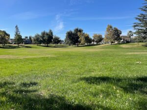 Soccer Field image 1