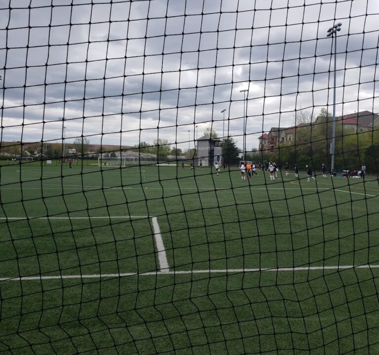 Soccer Field image 2