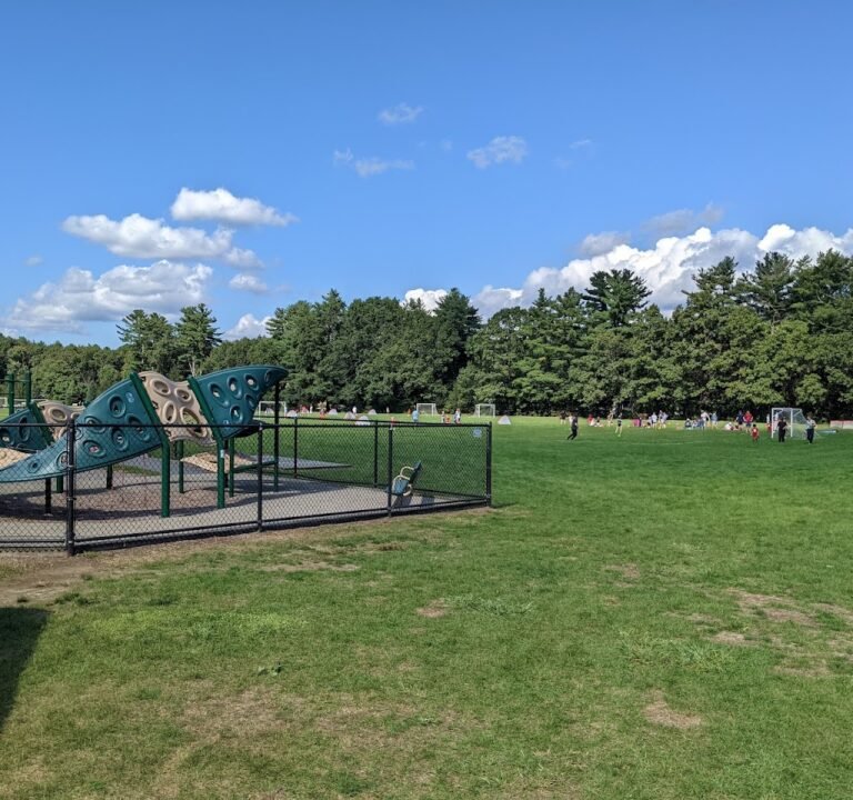 Soccer Field image 2