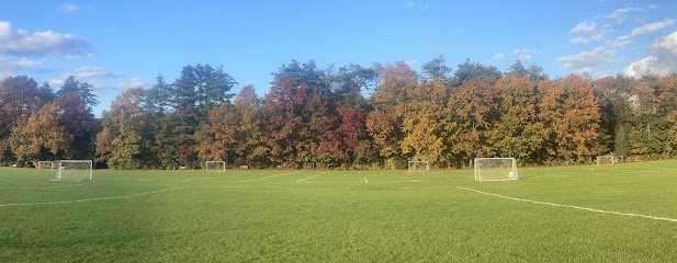 Soccer Field image 1