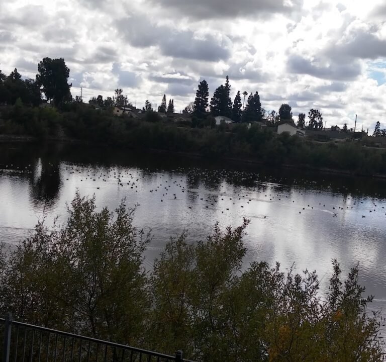 Soccer Field image 2