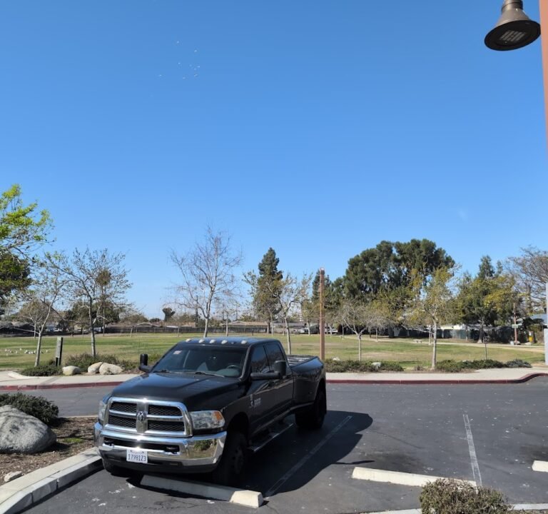 Soccer Field image 3