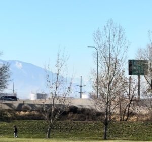 Soccer Field image 3