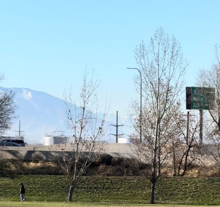 Soccer Field image 3