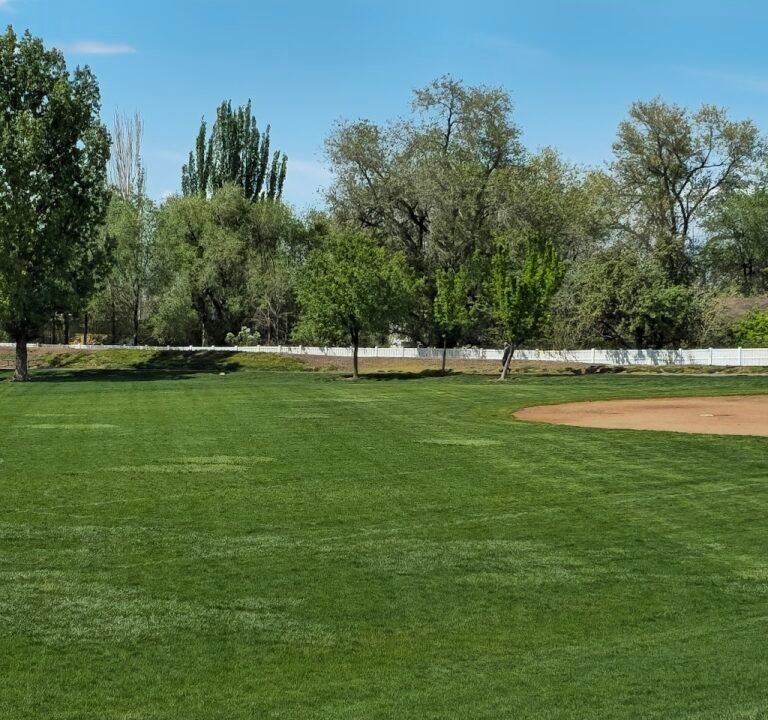 Soccer Field image 2