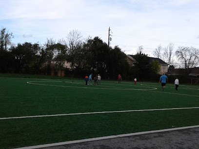 Soccer Field image 1