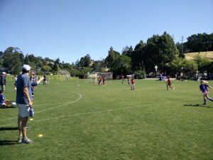 Soccer Field image 1