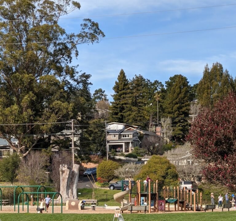 Soccer Field image 2