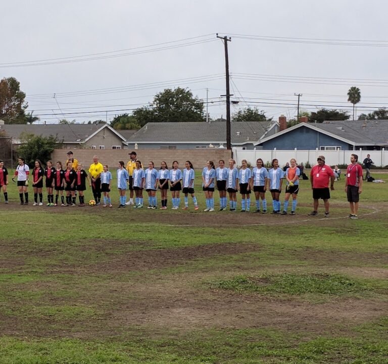 Soccer Field image 2